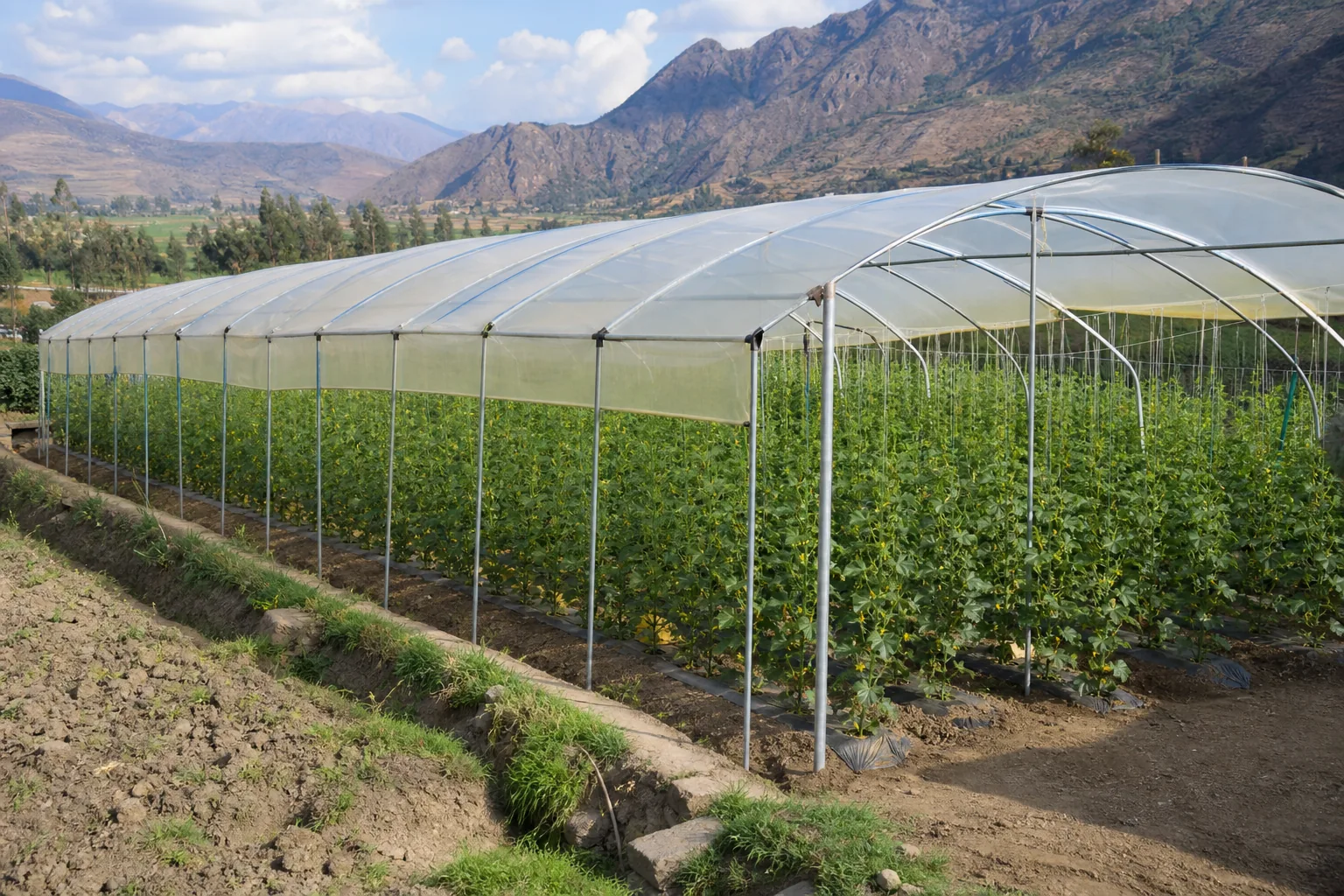 Galvanized steel pipe commercial greenhouse structure
