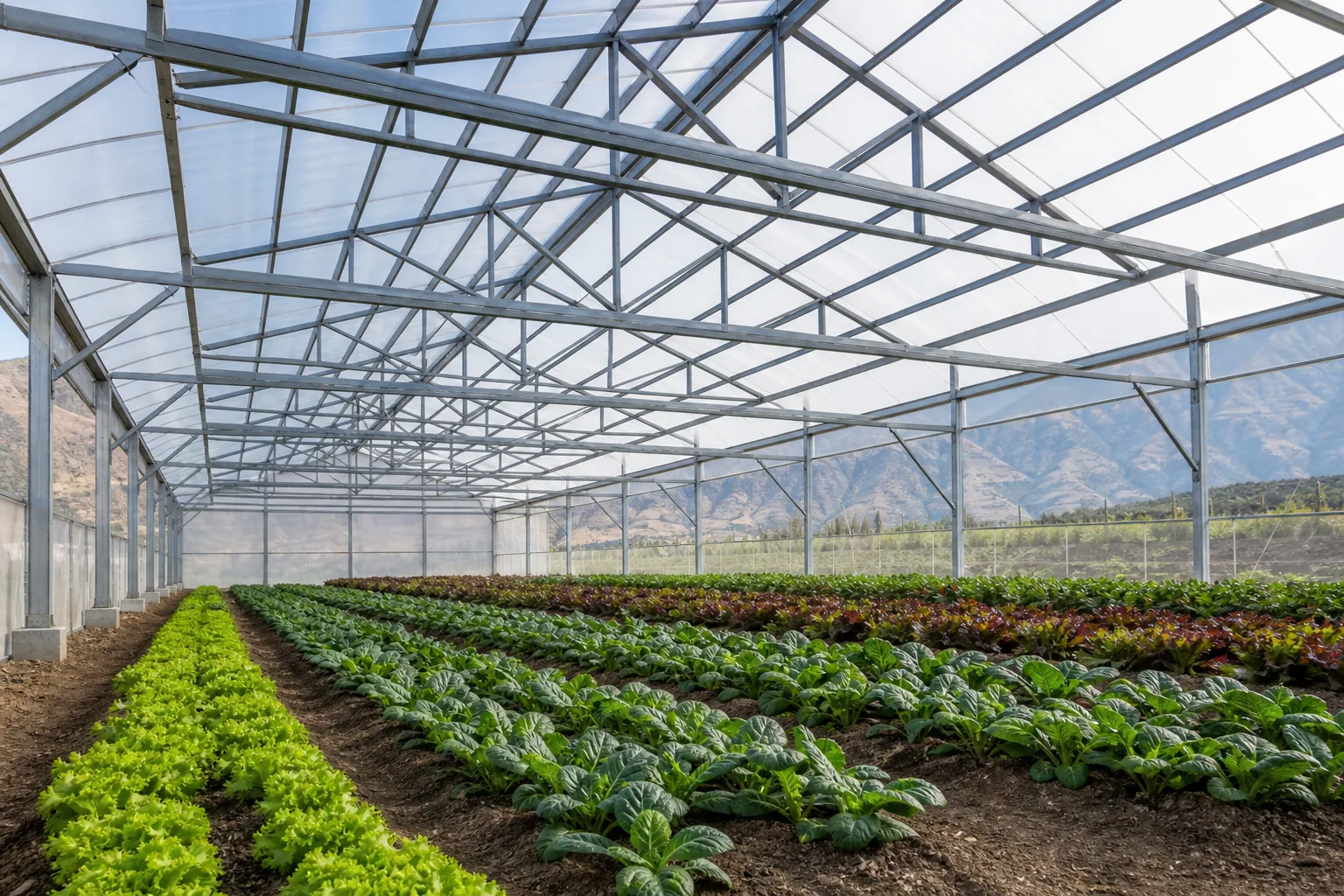 Square & Rectangular Steel Tubes Galvanized square tube greenhouse frame